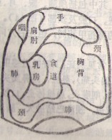 右食指.jpg