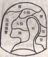 右无名指.jpg