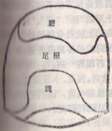 右小指.jpg