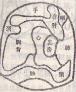 左食指.jpg