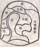 左无名指.jpg